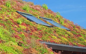 Lowcross Hill living roof systems